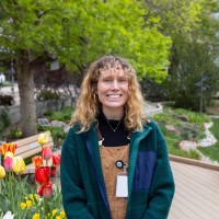 Mattie Cryer, Lcsw, Cbis