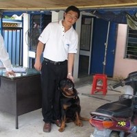 Ali Yang