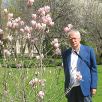 Nitu Costica