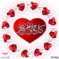 Ali Can