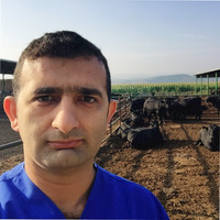 Ömer Faruk Özkan