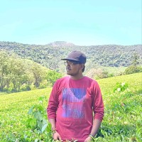 Vijesh Pon Raj S