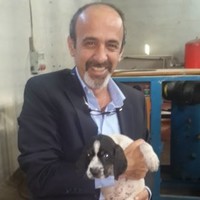 Harun Cosan