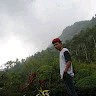 Tri Harjanto