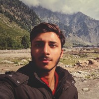 Hamza Aamer