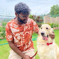 Vamshi Krishna K
