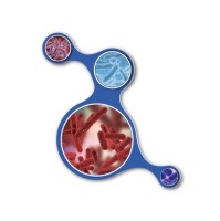 Microbiote Microbiome