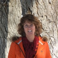 Cherie Stoddard