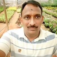 Gadadasu Narender