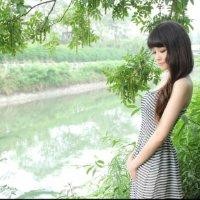 郑莹莹
