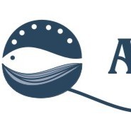 Akisipesca Export-Import