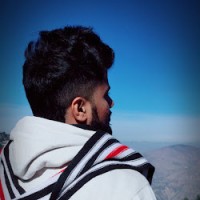 ashu bhatnagar