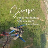Ronald R. Pardo T.