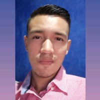 Harvin Alvarez Guzman