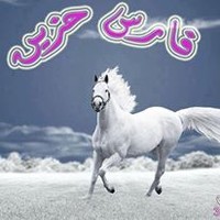 NASSER aljizawy