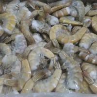 jesus angel burboa verdugo