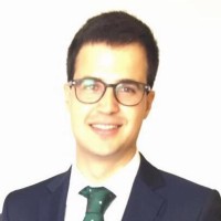 Carlos Henche Guijarro