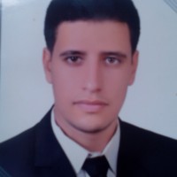 Mostafa Mokhtar