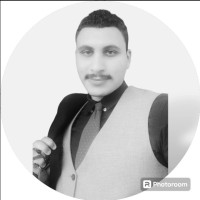 Yousef Mostafa ( BSc, MSc, PMP®, PSP )