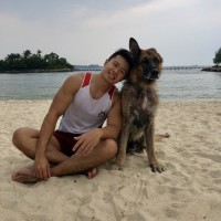 Sim Ming Lun