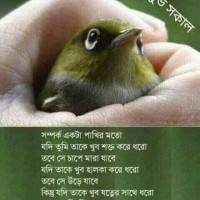 Kamrunnahar Kakoli