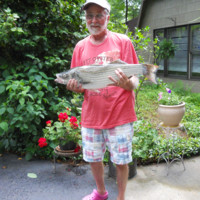 Tom Geiser