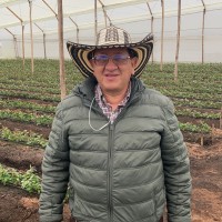 CARLOS ALARCON ROJAS