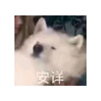 王少波