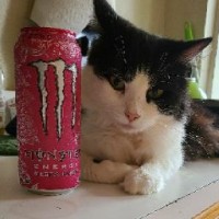 Tomi Flowers