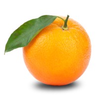 Orange HR Services