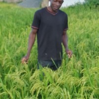 Paul Sanogo