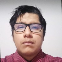 Jesus Junior Campos Vargas