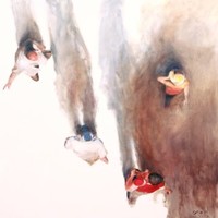 Celia Borg Cardona