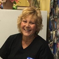 Hollie Petrillo