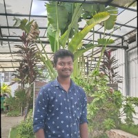 Lakshmi Narayana Bachu