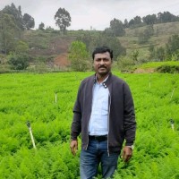 Prabu Packirisamy