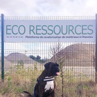 Marion Charrier Rosset