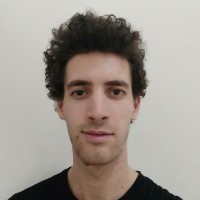Tomer Helzer