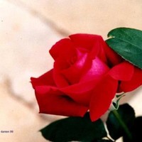 Mohammed Temraz
