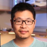 Xinqiang Yan