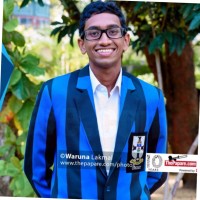Shanon Fernando