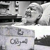 Mohamed EL-HAMDANY