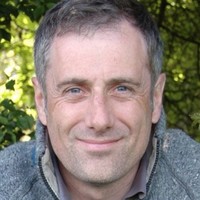 Andy Mullins