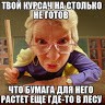 Olga R
