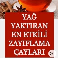 Gülcan Köse