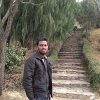 Ankur Burnwal