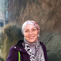 Rasha Wessam