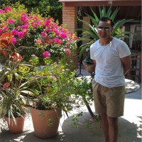 Salvador Villegas, Mba