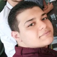 محمد پارسا کیانی