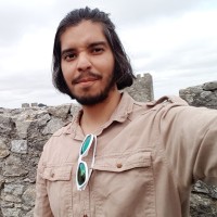 Felipe M Pineda Da Motta